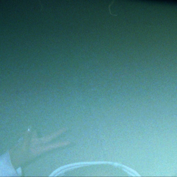 Meet your Posher, Hayden - Picture 1 of 1